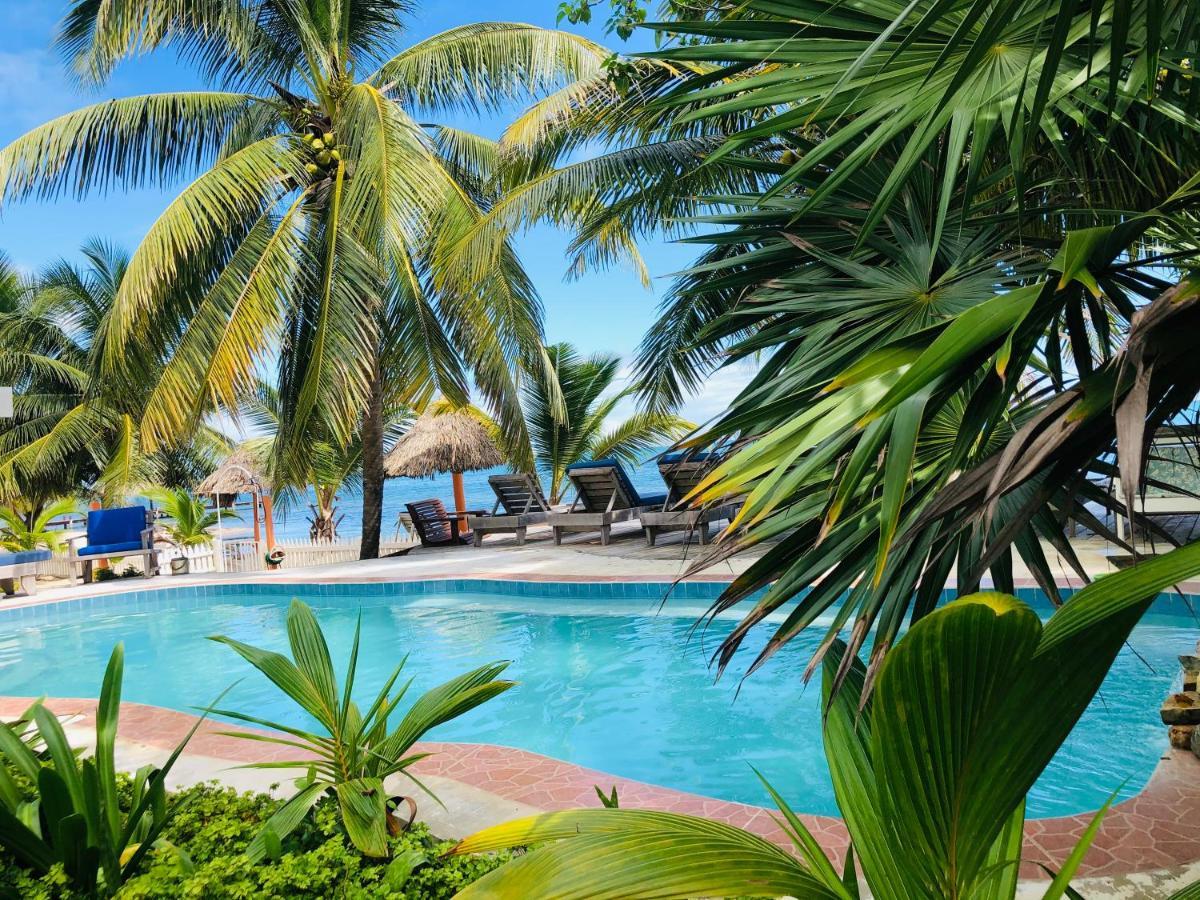 Coral Cove Inn Maya Beach Exteriör bild